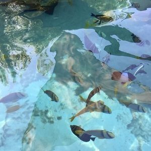 Meet your Posher, Milena